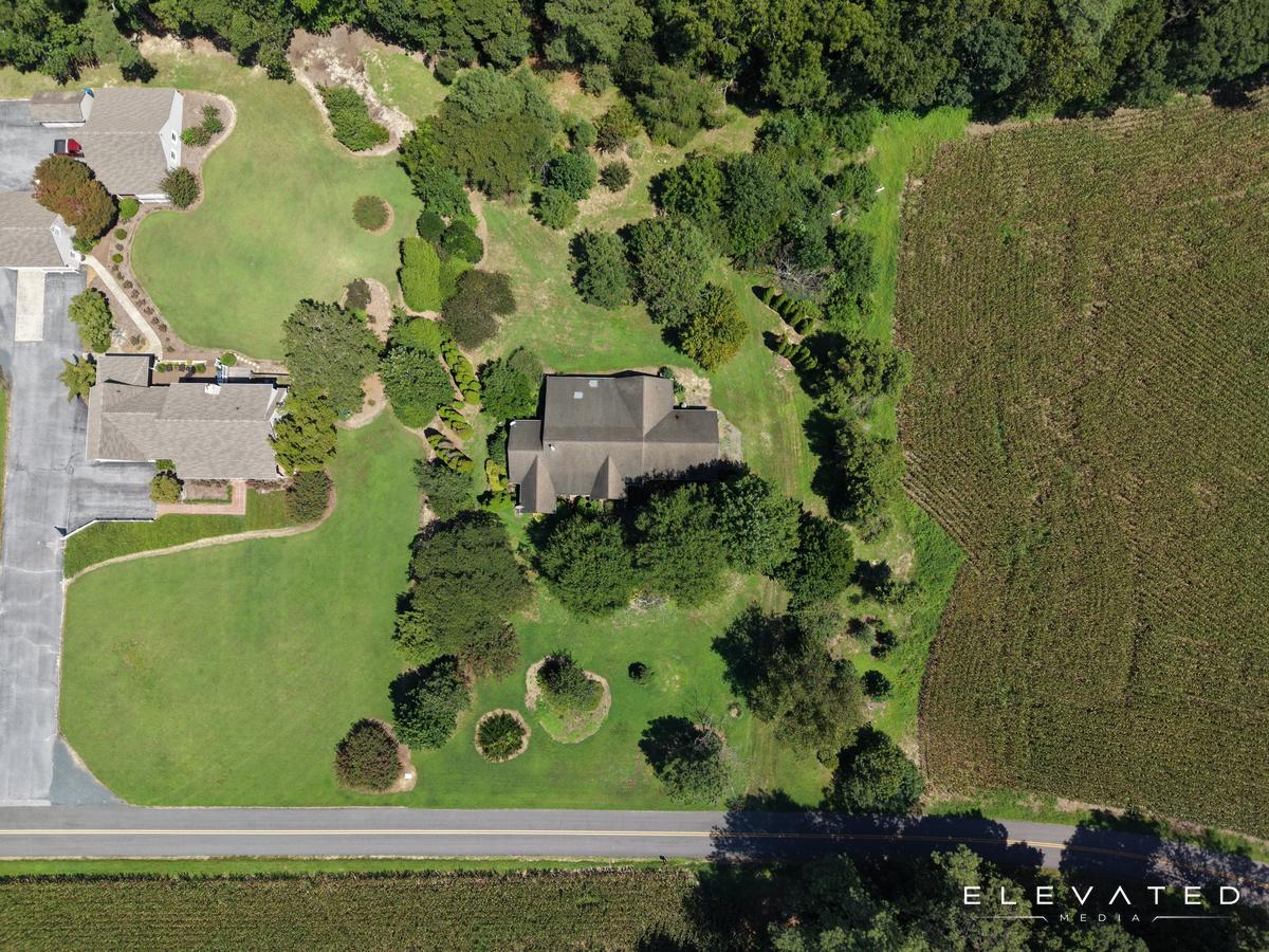 Top-down view of a home surrounded by mature trees